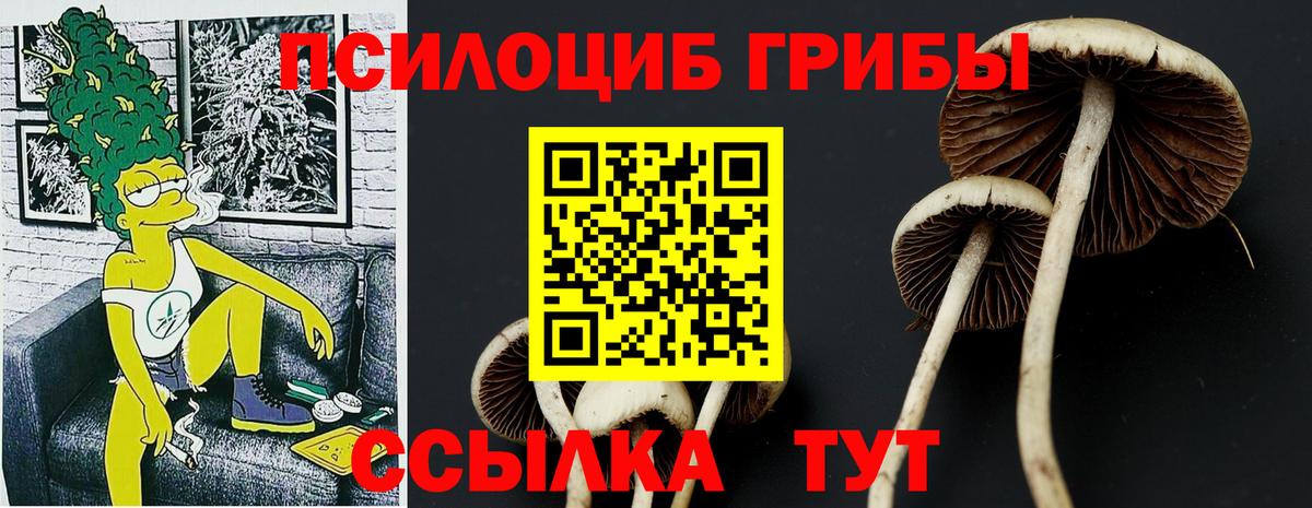 Киров  Псилоцибиновые грибы MAGIC MUSHROOMS  Псилоцибиновые грибы ЛСД  Вход с VPN 