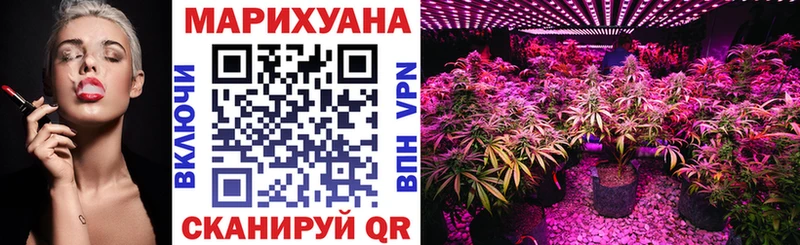 купить наркотики сайты  Киров  Конопля конопля 